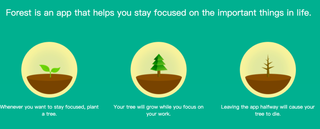Forest app focus timer for ADHD productivity and time management